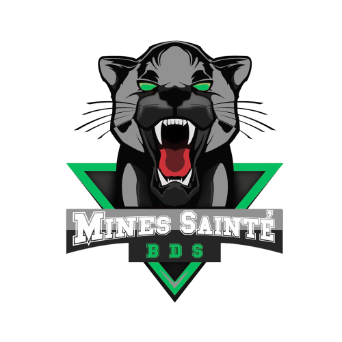 MINES SAINT-ÉTIENNE